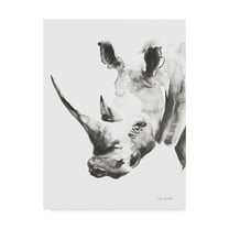 Trademark Fine Art 'Rhino Gray Crop' Canvas Art by Aimee Del Valle