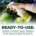 thumbnail image 2 of Neem Oil Spray for Plants with Peppermint Oil, Natural Plant Wash Made Indoor and Outdoor Smart Grower 16oz Easy Ready to Use, 2 of 5