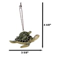 thumbnail image 6 of Set Of 6 Green Mother and Baby Sea Turtles Marine Wall Decor Tree Ornaments, 6 of 9