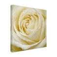 thumbnail image 2 of Trademark Fine Art 'Wall Flower III' Canvas Art by Alonzo Saunders, 2 of 4