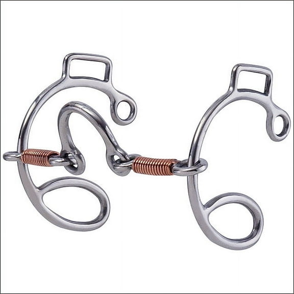 Hilason Stainless Steel Quick Six Horse Bit W/Copper Wire Wrapped Bars