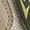 Beige, variant on New Plus-Size Men's Sneakers: Thick-Soled Versatile Trendy Walking Shoes, Forrest Gump Style Canvas Dad Shoes with Mesh Upper, Skate Shoes for Spring, Summer, Autumn, and All Seasons