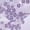 Purple, variant on EnJoCho Chinese Traditional Cheongsam Dress for Girls Short Sleeve Embroidery 𝖫unar New Year Outfit Spring Festival Clothing