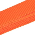 thumbnail image 4 of Hatfield Adjustable Control Collar & Leash Set, Hunter Orange, 4 of 6