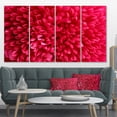 thumbnail image 1 of Pink Aster Flower Petals Close up - Large Floral Canvas Artwork, 1 of 4