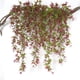 thumbnail image 2 of Piezas rojas de hiedra Artificial, plantas de vid colgantes falsas para boda, pared interior y exterior, enrejado de valla de balcón JM, 2 of 5