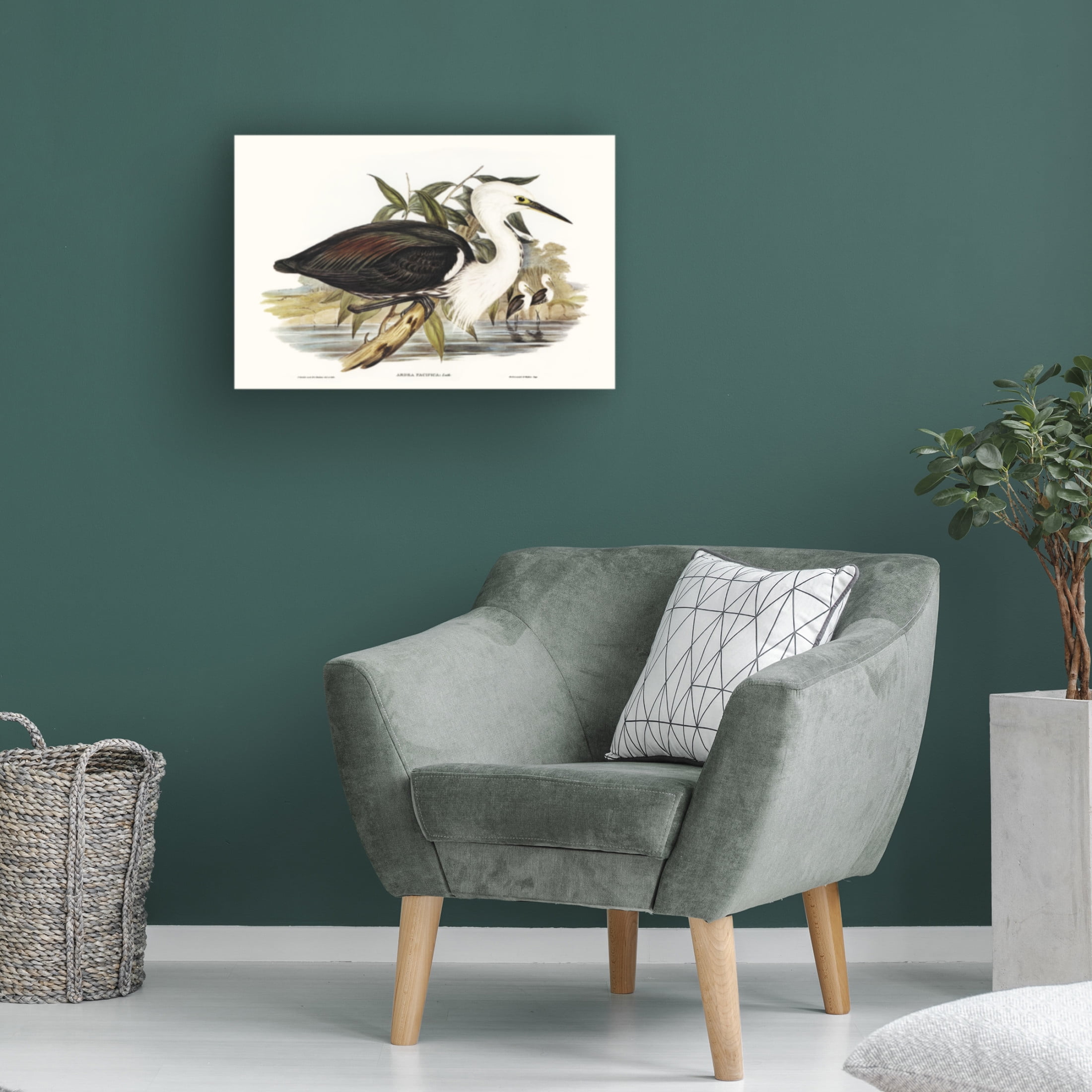 Trademark Fine Art Elizabeth Gould  Majestic Waterbird V Canvas Wall Art