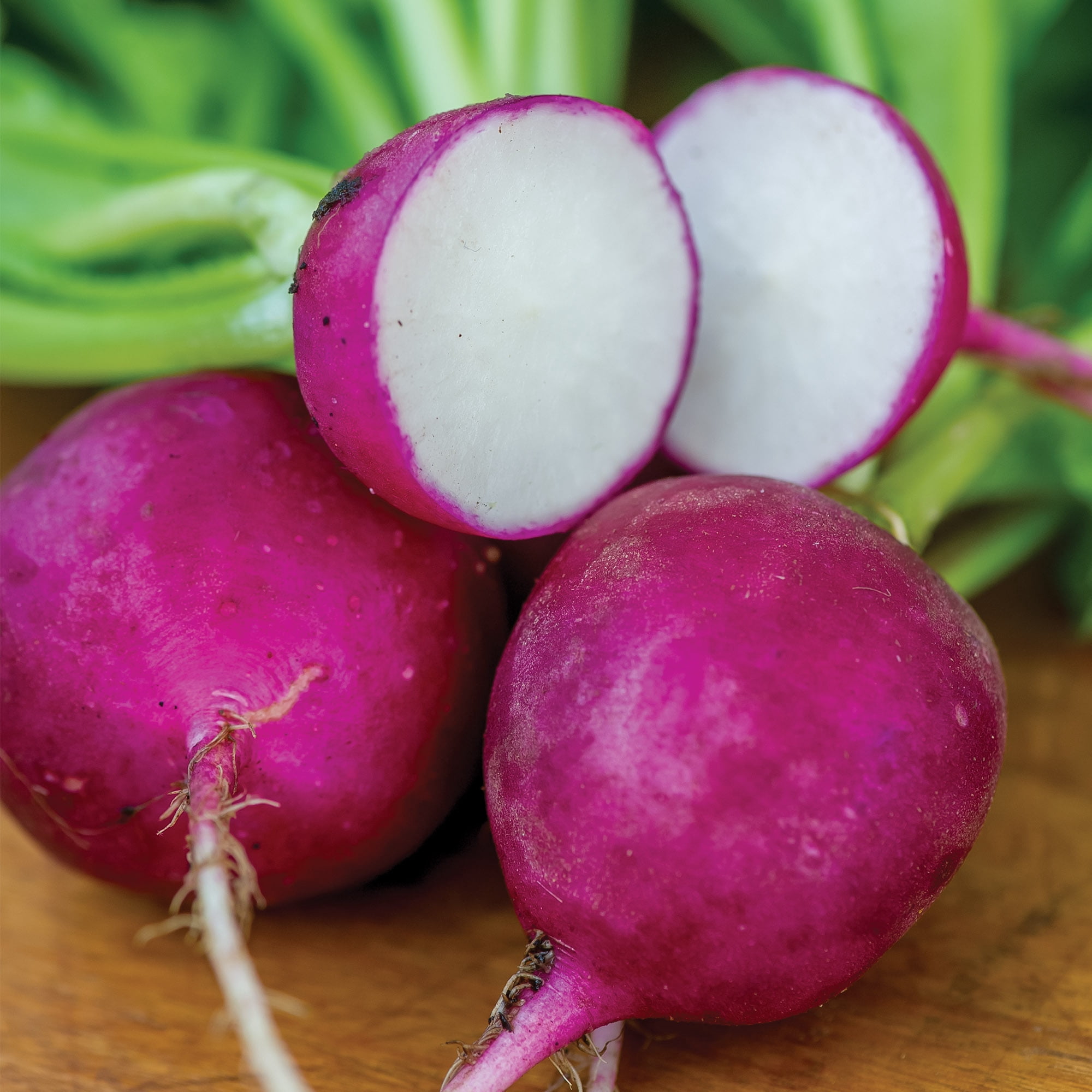 Burpee Royal Purple Radish Seeds -Easy to Grow, Vegetable Gardening Seeds, 1-Pack