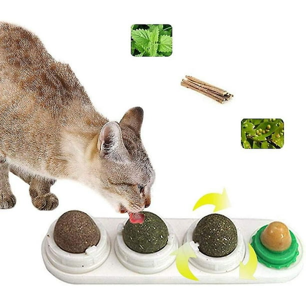 Cat snack clearance ball