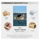 thumbnail image 2 of Póster NLIEOPDA Funny Fat Cat Vs. Lienzo Shark 40x60 cm, 2 of 7