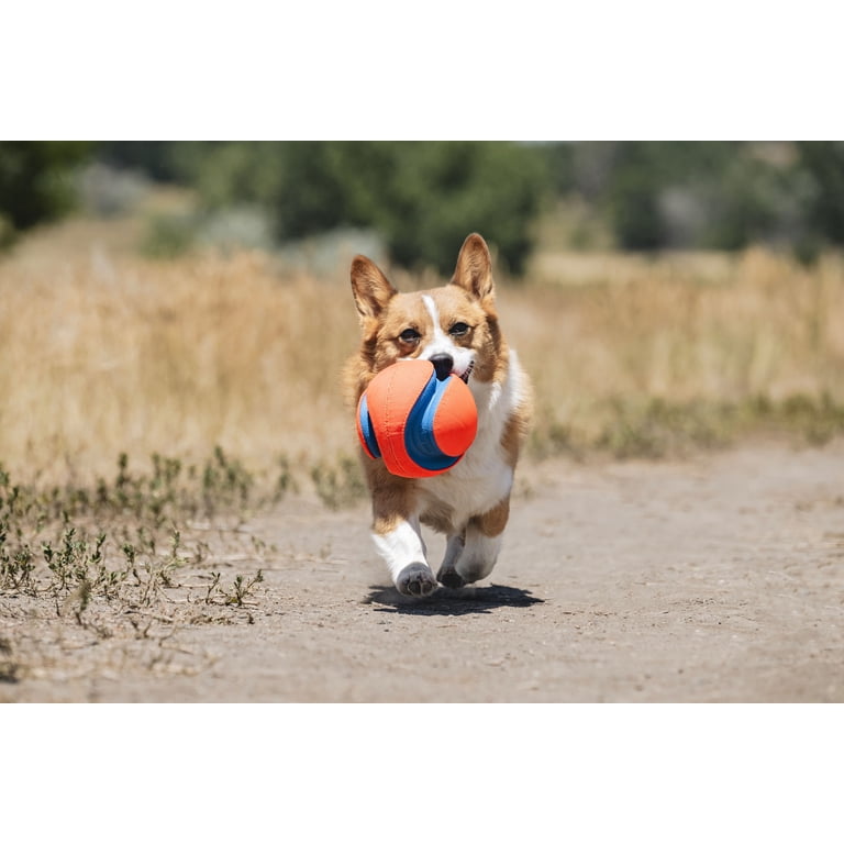 Chuckit! Kick Fetch Canvas Ball, Small 5.5" for Small Dogs photo 5