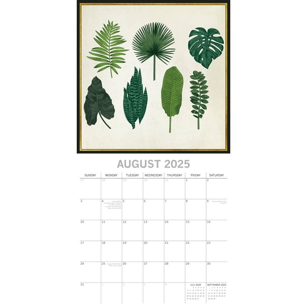 The Gifted Stationary 2025 Square Wall Calendar, Botanicals, 16-Month Arts & Antiques Theme Hanging Calendar with 180 Reminder Stickers, Month Planner for Home and Creative Spaces, 12x12 In - Walmart Business Supplies the-gifted-stationary-2025-square-wall-calendar-botanicals-16-month-arts-antiques-theme-hanging-calendar-with-180-reminder-stickers-month-planner-for-home-and-creative-spaces-12x12-in-walmart-business-supplies