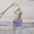 thumbnail image 1 of Dvkptbk Désodorisant Suspendu et Diffuseur d'Huile Automobile Diffuseur d'Aromathérapie Mini Bouteille en Verre Pendentif Désodorisant Diffuseur pour Parfum 10 ml, 1 of 3