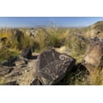 thumbnail image 2 of Paulson, Don 18x13 White Modern Wood Framed Museum Art Print Titled - New Mexico, Three Rivers, Petroglyph on rock, 2 of 4