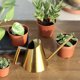 thumbnail image 2 of Regadera para plantas regadera para plantas con caño largo y estrecho revestimiento de estilo nórdico para flores de jardín para bonsái ANGGREK Otros, 2 of 7