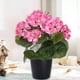 thumbnail image 1 of Camelia artificial de imitación para exterior | Flores artificiales de seda realistas para decoración primavera-verano | Geranio de plástico para porche, balcón, puerta de entrada, jardín, casa, 1 of 5