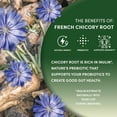 thumbnail image 4 of Organic French Chicory Root, 1 Pound - Brew Like Coffee, Blend Roasted Chicory Root With Coffee, Acid Free, Caffeine Free, Kosher, 4 of 5