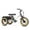 White, variant on Addmotor Fat Tire Unisex Adults Electric Tricycle, White, 20''
