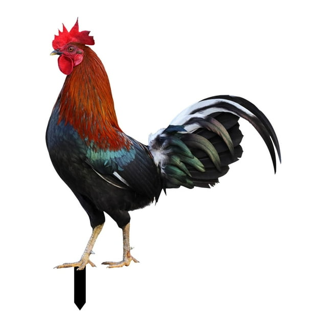 Galloanimalestatuasapuestajardínapuestasdecoracióngallina Signofigurasemana santaAdornos decorativosEscultura de pollopatiopatioal aire libre mayimx estacas de patio