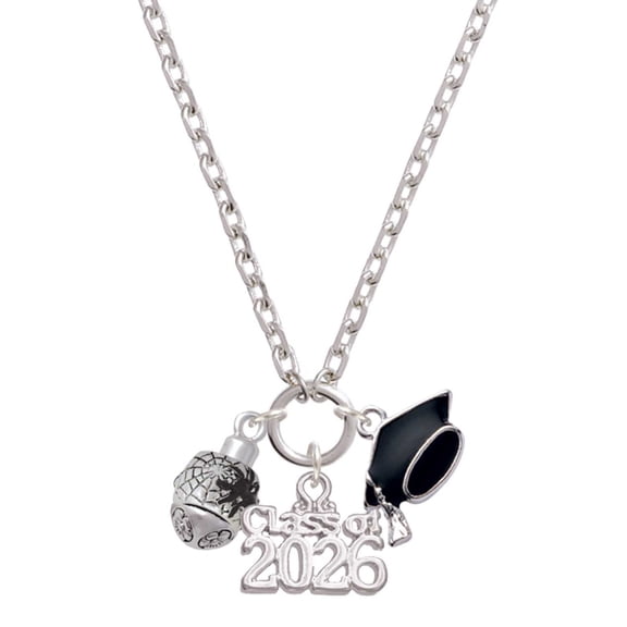 Delight Jewelry Silver-tone Black Spider on Web Spinner - Class of 2026 Graduation Zoey Charm Necklace, 28"