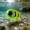 2, variant on Zeiwohndc Big Eyes Fishing Lure Artificial Hard Baits With Noise Making Steel Balls