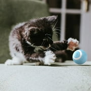 SIfdSeng Pet Toys Self Fun Fun Cat Stick Cat Toy Supplies Electric Rolling Grinding Teeth Animal Toys Puppy Teething Toys Large Breed Super Chewer Dog Toys