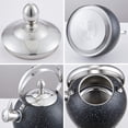 thumbnail image 2 of Creative Home 2.5 Qt. Stainless Steel Whistling Tea Kettle, Opaque Black with Speckle, 2 of 7
