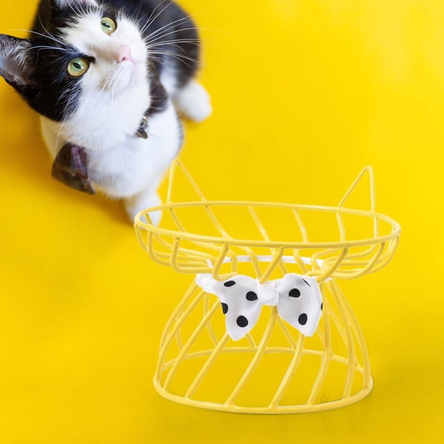 Cuenco para gatos, de cerámica para mascotas, soporte inclinado para comida , comedero para gatos, perfecto para cachorros y , Soporte amarillo Soporte amarillo Colco Cuencos para gatos