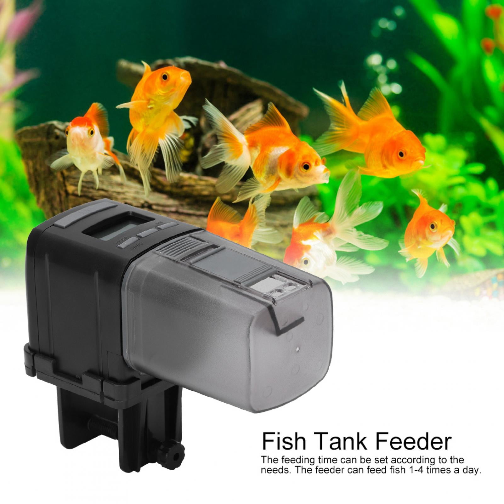 Fish tank automatic food dispenser best sale