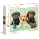 thumbnail image 1 of Rompecabezas Cachorros Labrador Clementoni High Quality Collection 1000 Piezas, 1 of 4