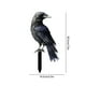 thumbnail image 3 of Estaca De Cuervo Negro Para Jardín, Decoración De Halloween Para Jardín, Fiesta, Árbol De Navidad Al Aire Libre, Accesorio De Exhibición Con Temática Espeluznante, 30x15cm (1 Unidad) Rkxzt, 3 of 8