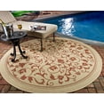 thumbnail image 2 of Safavieh Courtyard Nanda Botanical Indoor/Outdoor Area Rug, Natural/Terracotta, 7'10" x 7'10" Round, 2 of 8
