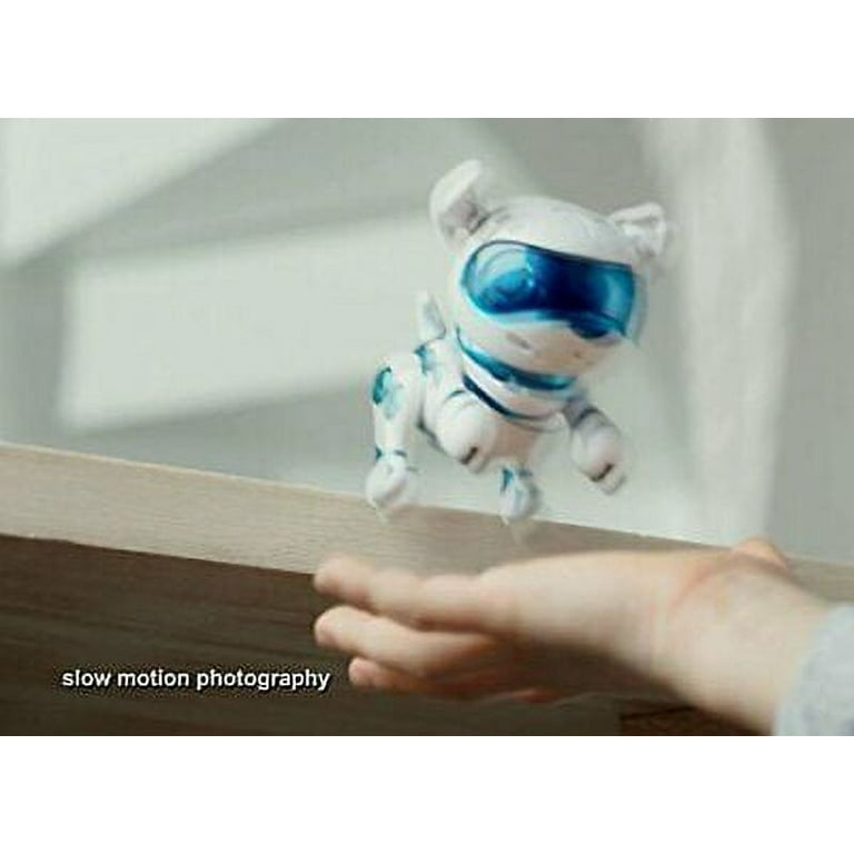 Tekno newborn kitty instructions 2025