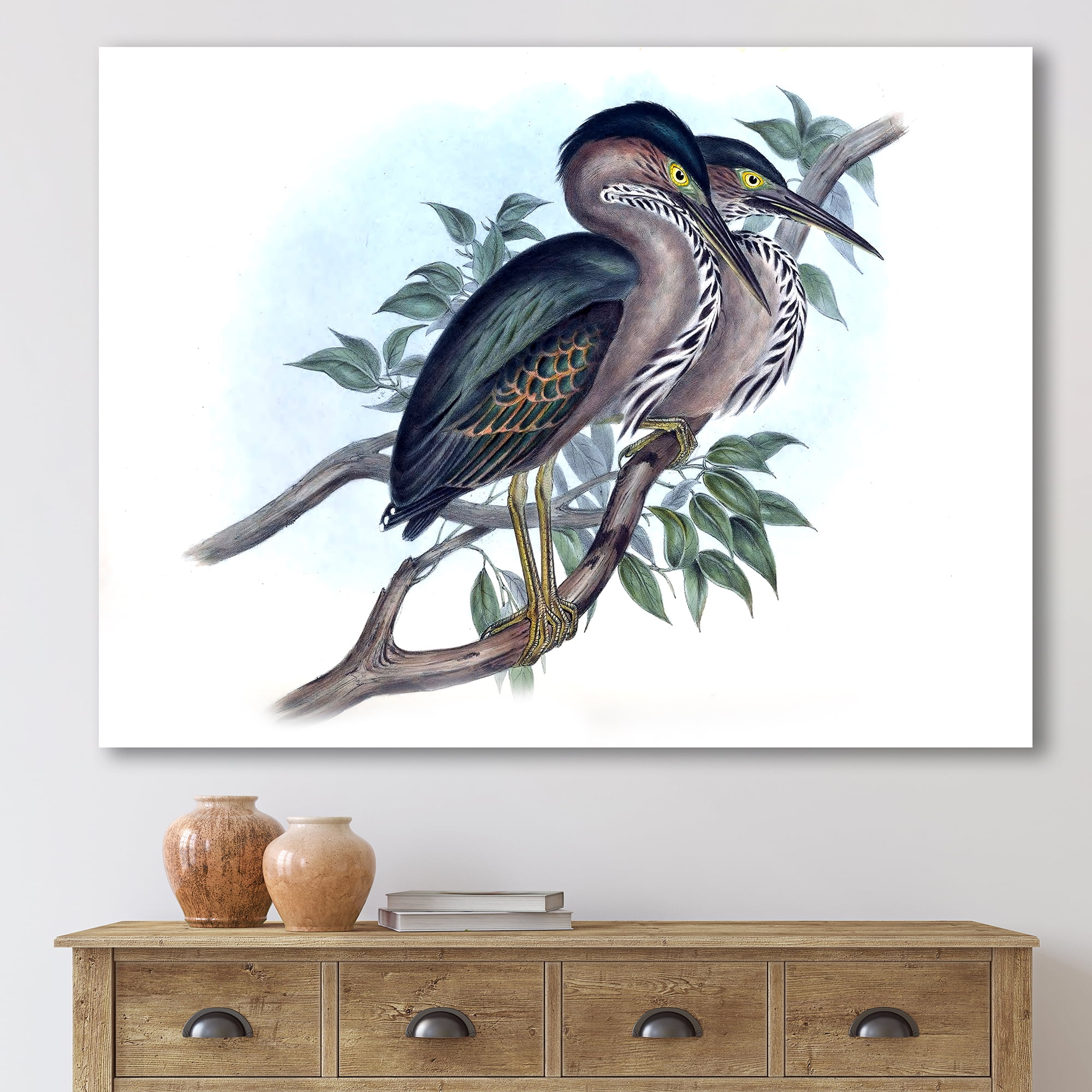 Designart ' Ancient Australian Birds VII ' Traditional Canvas Wall Art Print