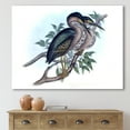 thumbnail image 2 of Designart ' Ancient Australian Birds VII ' Traditional Canvas Wall Art Print, 2 of 4