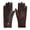 Brown, variant on BadPiggies Winter PU Leather Suede Gloves for Women, Warm Thermal Touchscreen Texting Dress Driving Motorcycle Gloves Fleece Lining (Brown)