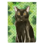 Carolines Treasures CK3062GF Bombay Shamrock Flag Garden Size Small multicolor