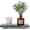 India Green, variant on Natural Marble Tray Pedestal Stand, 8.6 x 4 Inch Hand-Polished Stone Riser | For Bathroom & Kitchen Sink. Unique Veining, Waterproof. Soap Dispenser, Perfume, Candle Display. Vanity Organizer. Non-Sl