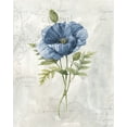 thumbnail image 2 of Robinson, Carol 12x14 Gold Ornate Wood Framed with Double Matting Museum Art Print Titled - Blue Linen Poppy, 2 of 4