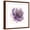 Brown Frame, variant on Art.com Watery Plum Bloom 1 Art Print by Sandra Smith, 16" x 16"
