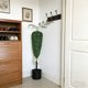 thumbnail image 1 of Bunny Boxwood Topiaries Easter Simulation Boxwood Leaf Potted Ornament en Maceta Negra para Entradas, Porches O Pantallas Interiores, 1 of 8
