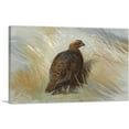 thumbnail image 1 of ARTCANVAS Grouse 1897 Canvas Art Print by Archibald Thorburn - Size: 40" x 26" (1.50" Deep), 1 of 9