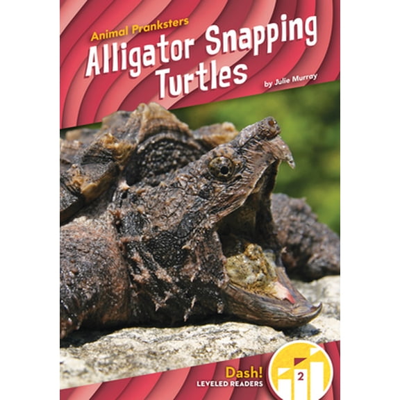 Pre-Owned Alligator Snapping Turtles (Library Binding) 1098228324 9781098228323