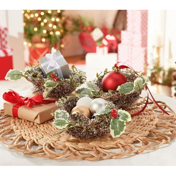 Set of (6) 5" Frosted Bird Nests with Clips by Valerie