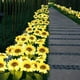 thumbnail image 1 of Luz De Tierra Lámpara de césped solar duradera con luz de suelo de girasol LED para patio (1 arrastre 4), 1 of 7