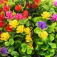 thumbnail image 4 of YSNOOWE Maceta Colgante Con Flores Artificiales Multicolor Para Del Hogar, 4 of 6