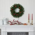 thumbnail image 2 of Nearly Natural Frosted Artificial Christmas Wreath with 50 Warm White LED Lights, 2 of 5
