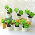 thumbnail image 4 of Coofit Artificial Succulent Decorative Lifelike Simulated Potted Plant Potted Succulent, 4 of 7