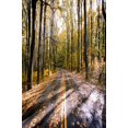 thumbnail image 3 of Red de camuflaje para caza, red de camuflaje para coche, carpa, toldo, malla de sombra, negro, verde, azul, beige, bosque, protección solar, sombreado al aire libre, 3 of 5