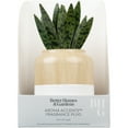 thumbnail image 4 of Better Homes & Gardens Aroma Accents Fragrance Plug, Snake Plant, 4 of 8